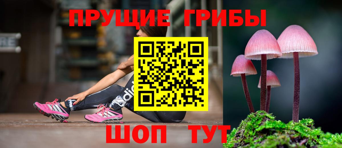 Галлюциногенные грибы прущие грибы Острогожск